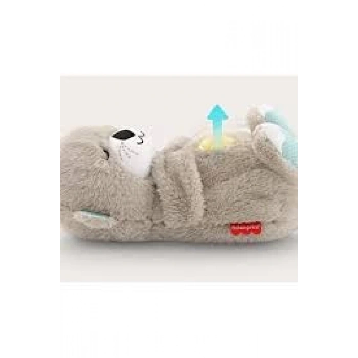 Uyku Arkadaşı Su Samuru