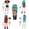 Monster High Gömülü Sırlar HYV64
