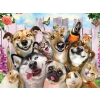 Prime 3D Pet Selfie 500 Parça Yetişkin Puzzle 10062
