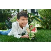 Jurassic World Uncaged İnteraktif Dilophosaurus Figürü HNT65