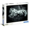 Clementoni 39422 Kedi Yavruları HQC 1000 Parça Yapboz