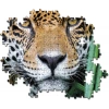 Clementoni  500 Parça Yetişkin Puzzle  Jaguar In The Jungle 35127
