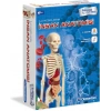 Clementoni 64297 İlk Keşiflerim İnsan Anatomisi