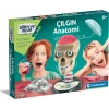 Clementoni Bilim ve Oyun Çılgın Anatomi Oyuncak 64322