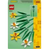 LEGO Iconic Nergis 40747- Dekoratif, Koleksiyonluk ve Sergilenebilir Çiçek Modeli Yapım Seti (216 Parça)