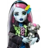 Monster High Acayip Havalı Arkadaşlar Frankie Stein HXH73