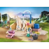 Playmobil Horses Of Waterfall 71354 Isabella & Lioness Yıkama Alanlı, Kapsamlı At Bakımı, Geniş Binicilik ve Birlikte Selfieler, 5 Yaşından Büyük Çocuklar İçin Sürdürülebilir Oyuncak