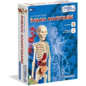Clementoni 64297 İlk Keşiflerim İnsan Anatomisi
