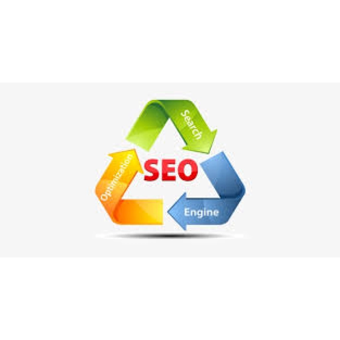 Gelişmiş SEO Editörü