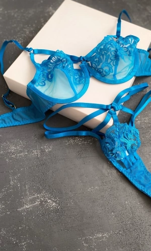 Underwire Lace Bra Set