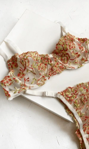 Floral Embroidered Bra Set