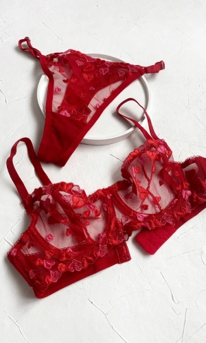 Heart Embroidered Bra Set