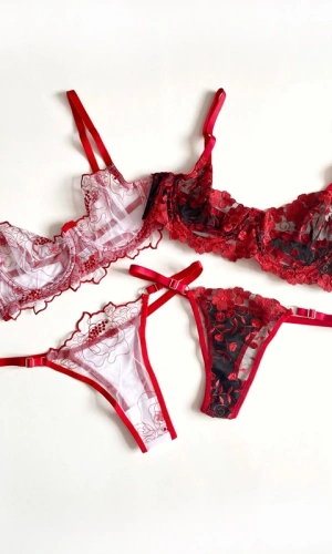 Balenli 2li Avantaj Paket 4 Parça Dantelli Desteksiz Sütyen Takım (Gizli Gönderi)