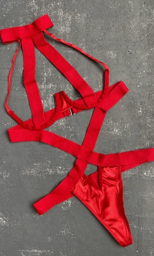 Underwire Harness Bodysuit