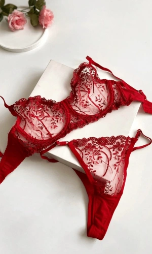 Büyük Beden Çiçek İşlemeli Sütyen Takım