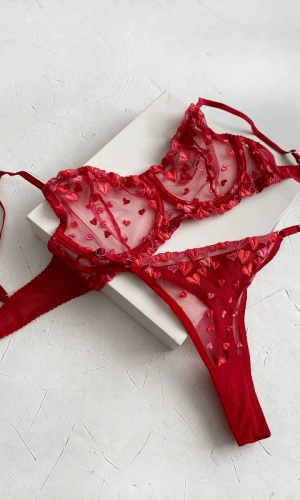 Büyük Beden Kalp İşlemeli Sütyen Takım