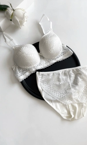 Dantel Detaylı Destekli Sütyen Takım