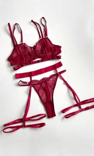 Dantel Detaylı Desteksiz Sütyen Takım & Bacak Aparatlı Jartiyer Kemeri Kombin