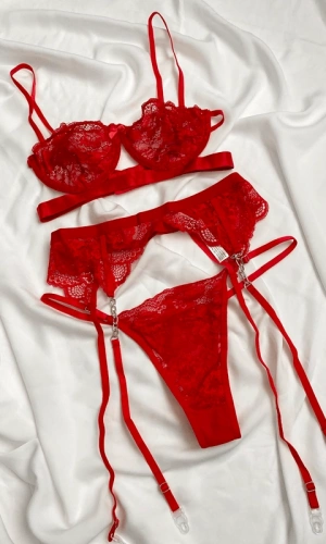 Dantel Detaylı Sütyen Takım & Dantel Ve Zincir Detaylı Jartiyer Kemeri Kombin