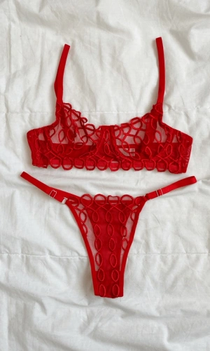 İşlemeli Balenli Sütyen Takım