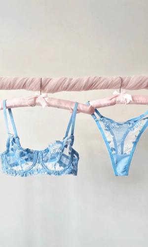 Heart Embroidered Bra Set