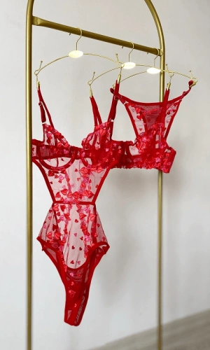 Hearted Body and Bra Set Combine