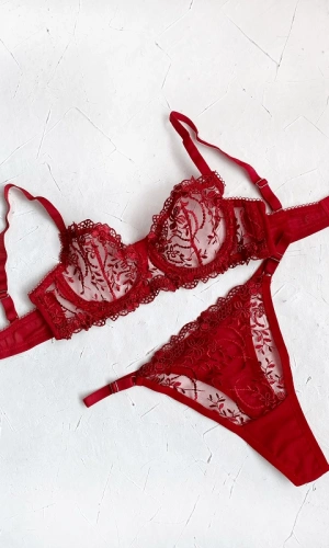 Red Flower Embroidered Bra Set