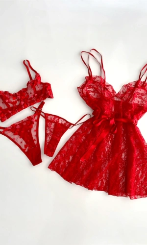 Kırmızı Kalp İşlemeli Sütyen Takım & Tül Gecelik 4 Parça Kombin (Gizli Gönderi)