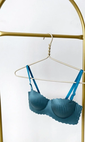 Laser Cut Hand Supported Bra