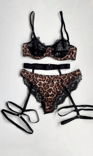 Leopar ve Dantel Detaylı Sütyen Takım & Bacak Aparatlı Jartiyer Kemer Kombin