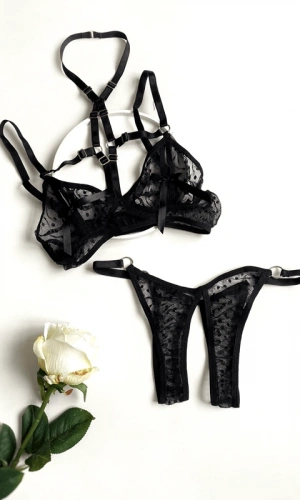 Özel Bölgesi Açık Puantiyeli Sütyen Takım