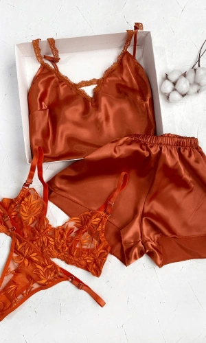 Satin Shorts & Bra Set Combine
