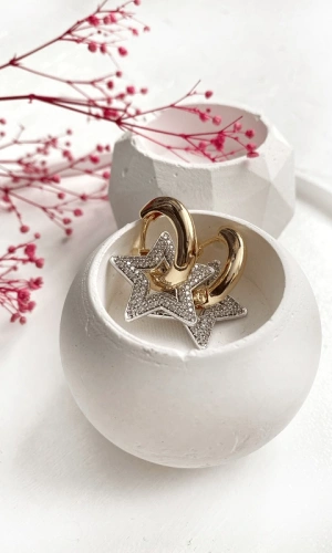 Star Earrings