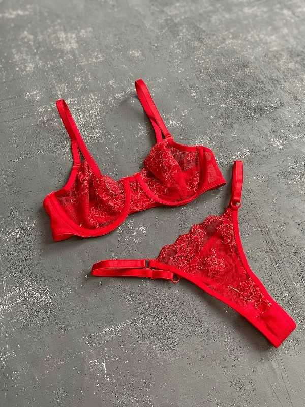Shimmer Embroidered Underwire Bra Set