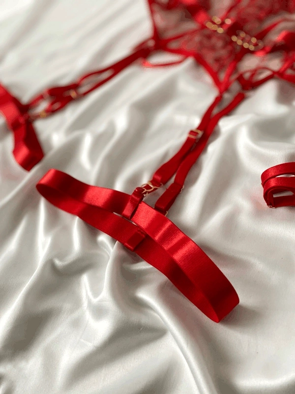 Kırmızı Bacak Aksesuarlı Halka Detaylı Private Büstiyer Takım