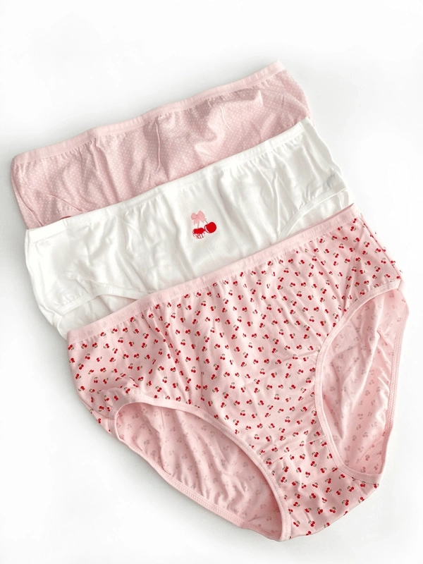 Cherry 3lü Büyük Beden Pamuklu Slip