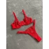 Shimmer Embroidered Underwire Bra Set