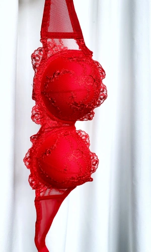 Kırmızı Destekli Sütyen Takım