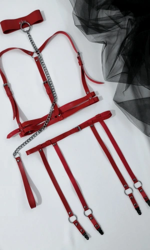 Leash Leather Suspenders Set
