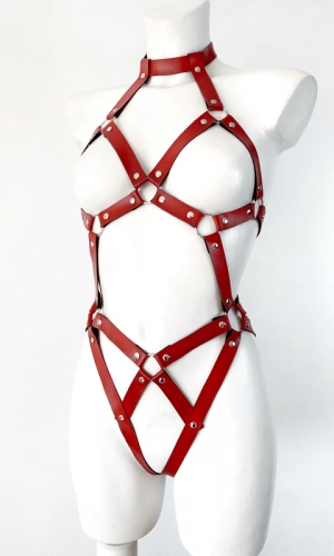 Body Harness