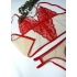 Red Lace Tulle Bustier Set