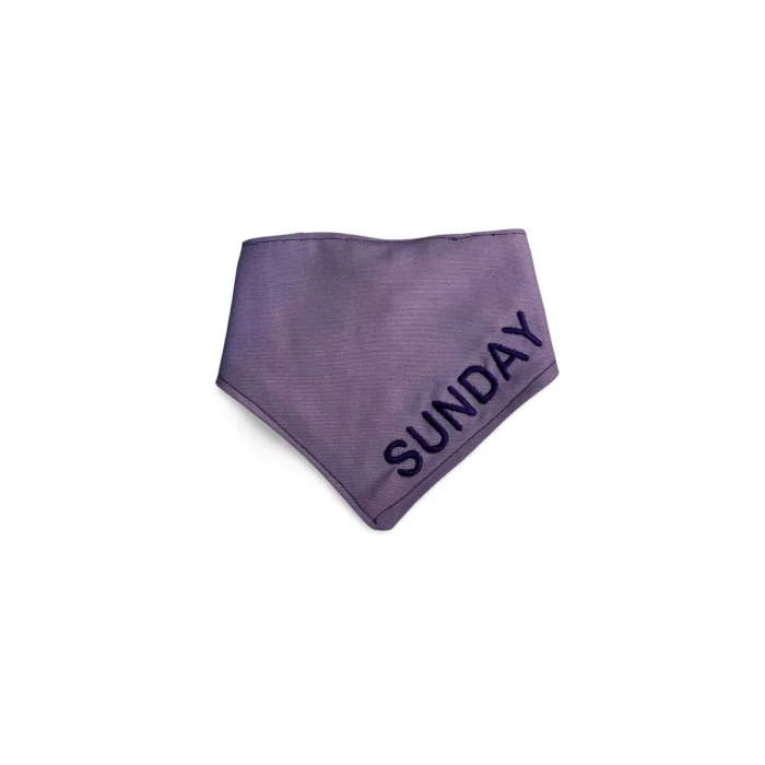 Özel İsimli Nakış İşlemeli Köpek Tasma & Bandana Fular Seti