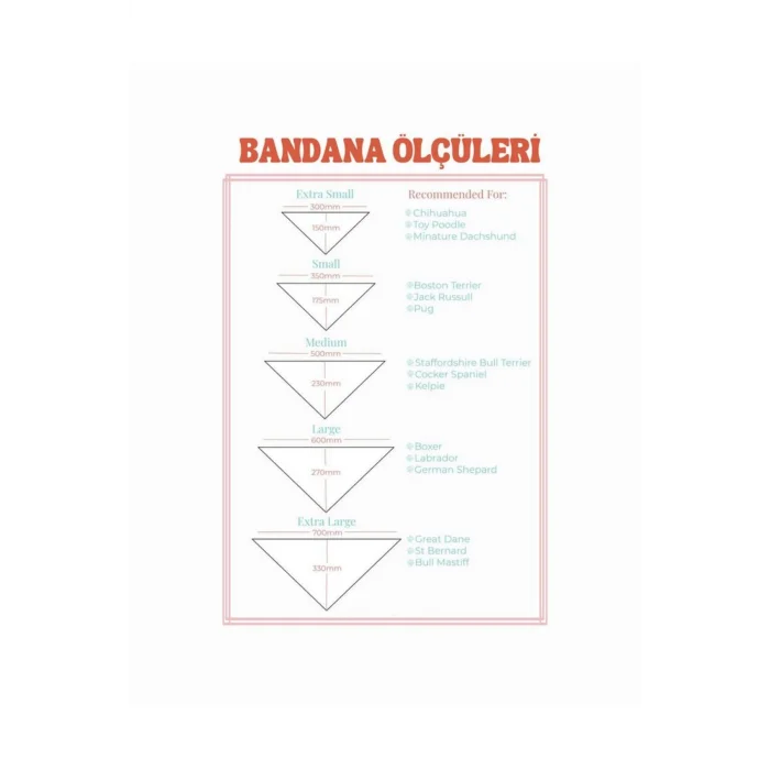 Özel İsimli Nakış İşlemeli Köpek Tasma & Bandana Fular Seti