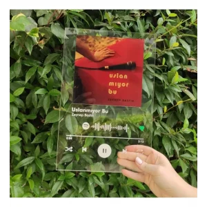 Kişiye Özel Spotify Barkodlu Plak 12x21 cm