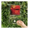 Kişiye Özel Spotify Barkodlu Plak 12x21 cm