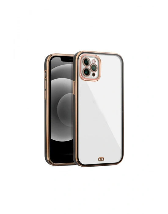 iPhone 11 Pro arka Kapak Kılıf Renkli Siyah kenarlı rose