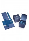 F20362/4 PRESTIGE ERKEK KOL SAATİ