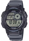 AE-1000W-8AVDF Kol Saati