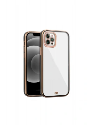 iPhone 11 Pro arka Kapak Kılıf Renkli Siyah kenarlı rose