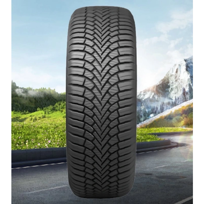 205-55-16 91V LASSA MULTIWAYS 2